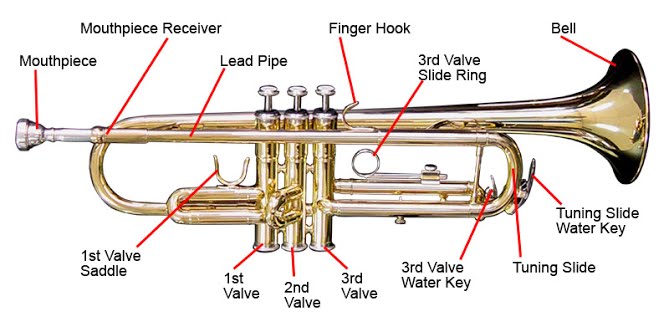 trumpet diagram